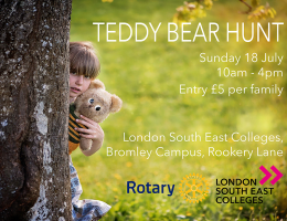 Annual Teddy Bear Hunt
